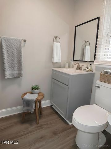 31157 Princeton Avenue, Meadowview, VA 24361