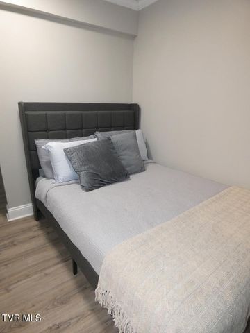 31157 Princeton Avenue, Meadowview, VA 24361