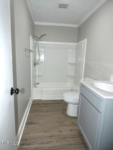 31157 Princeton Avenue, Meadowview, VA 24361