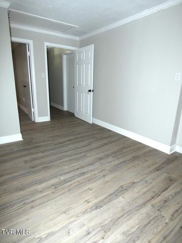 31157 Princeton Avenue, Meadowview, VA 24361