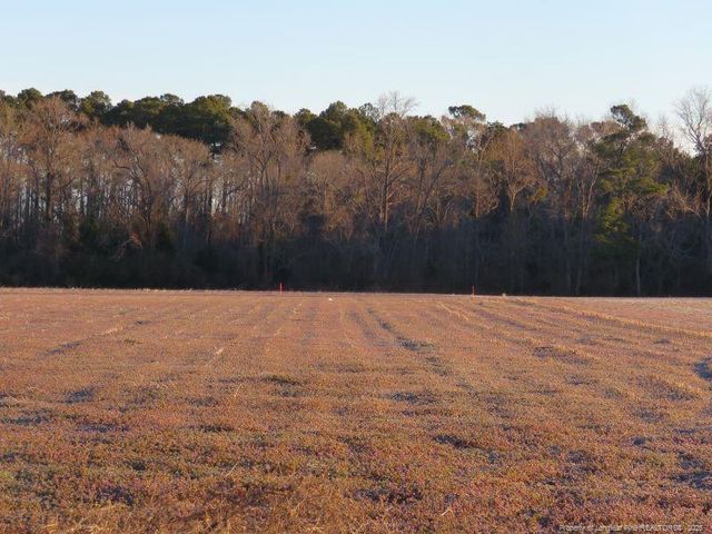 E Raynham Road, Fairmont, NC 28340