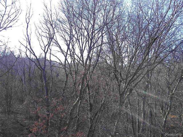 0 Sherwood Drive, Springfield Charter Township, MI 48350