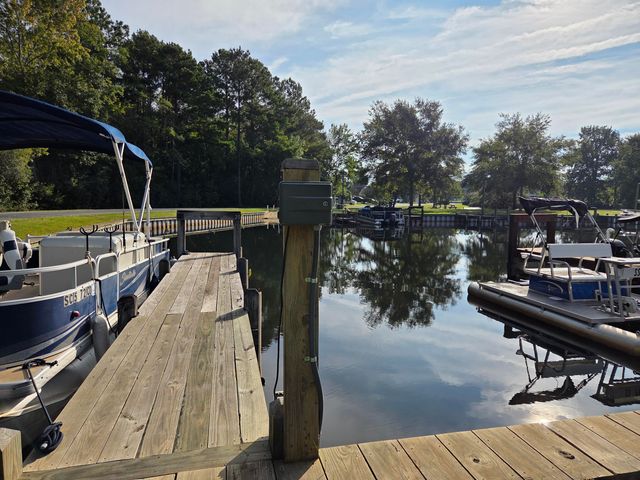 233 Plantation Drive, Manning, SC 29102