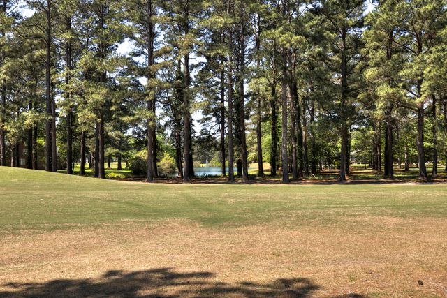 233 Plantation Drive, Manning, SC 29102