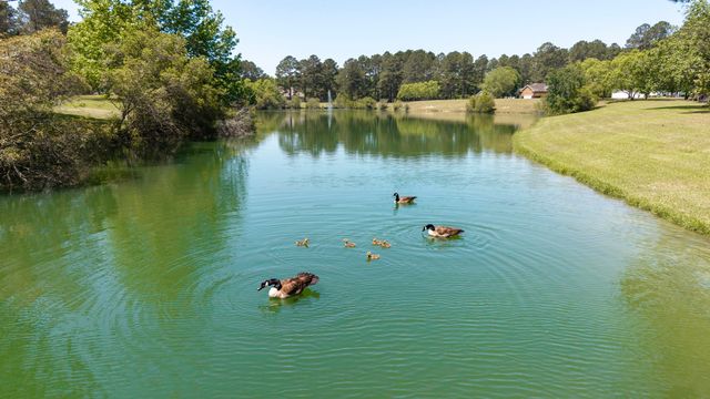 233 Plantation Drive, Manning, SC 29102