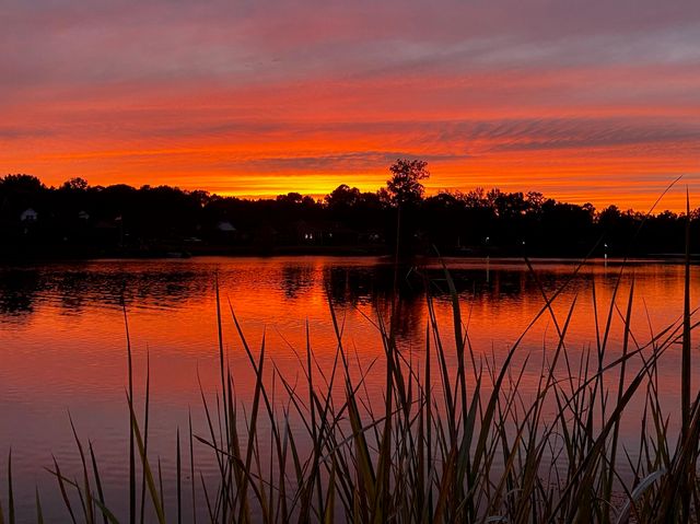 233 Plantation Drive, Manning, SC 29102