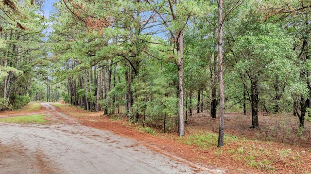0 Josie Ridge Road Lot 23, Wadmalaw Island, SC 29487
