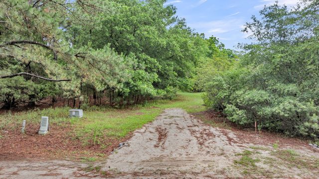 0 Josie Ridge Road Lot 23, Wadmalaw Island, SC 29487