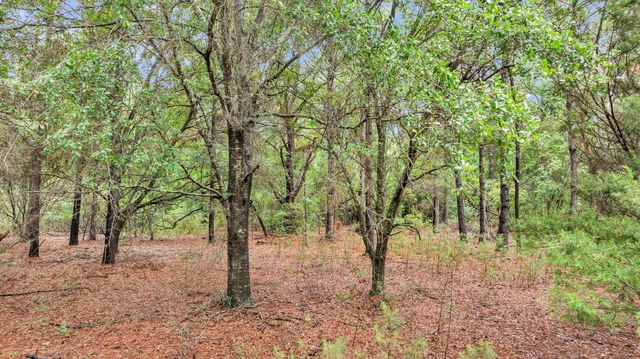0 Josie Ridge Road Lot 23, Wadmalaw Island, SC 29487
