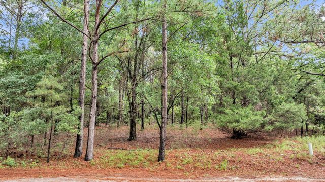 0 Josie Ridge Road Lot 23, Wadmalaw Island, SC 29487