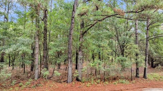 0 Josie Ridge Road Lot 23, Wadmalaw Island, SC 29487