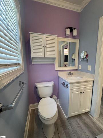 20 Shady Hollow Lane, Greer, SC 29651