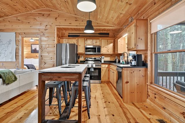 89 N Whitepath Circle, Ellijay, GA 30540