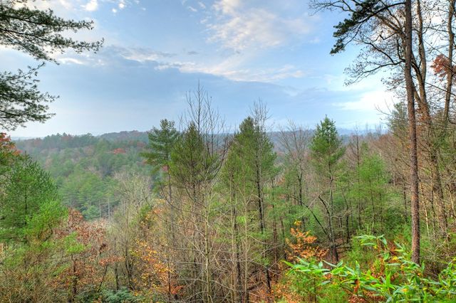 89 N Whitepath Circle, Ellijay, GA 30540