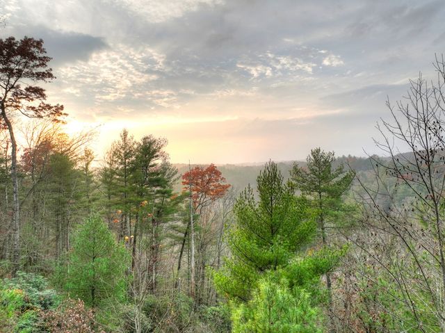 89 N Whitepath Circle, Ellijay, GA 30540