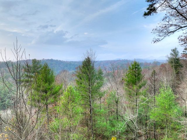 89 N Whitepath Circle, Ellijay, GA 30540