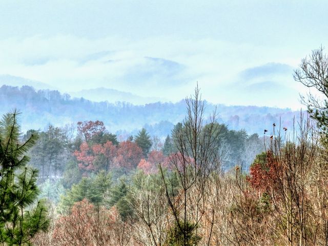 89 N Whitepath Circle, Ellijay, GA 30540