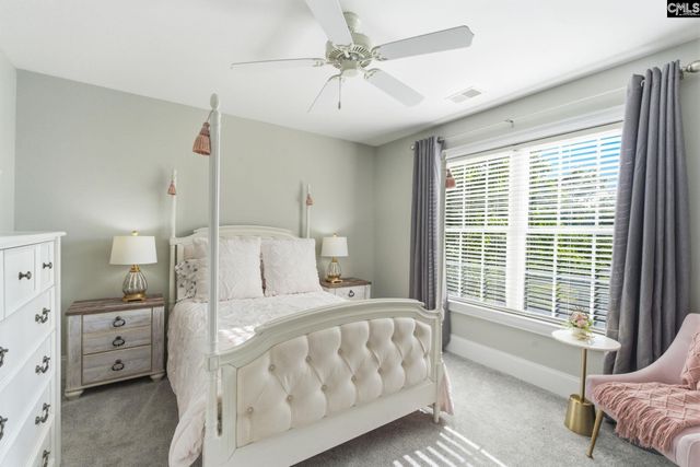 217 Forty Love Point, Chapin, SC 29036