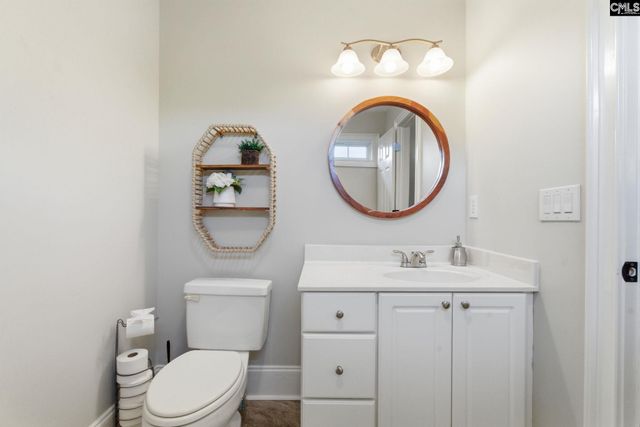 217 Forty Love Point, Chapin, SC 29036