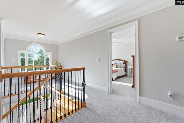 217 Forty Love Point, Chapin, SC 29036