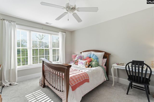 217 Forty Love Point, Chapin, SC 29036