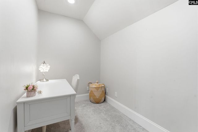 217 Forty Love Point, Chapin, SC 29036