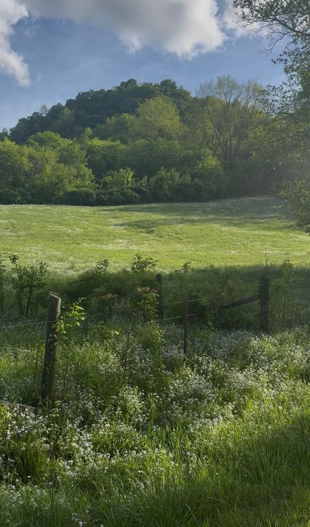 0 Little Salt Lick Road, Carthage, TN 37030