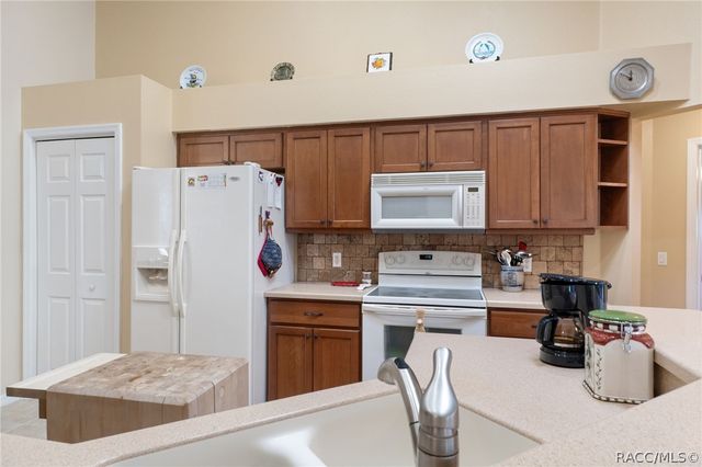 4596 N Grass Island Terrace, Hernando, FL 34442