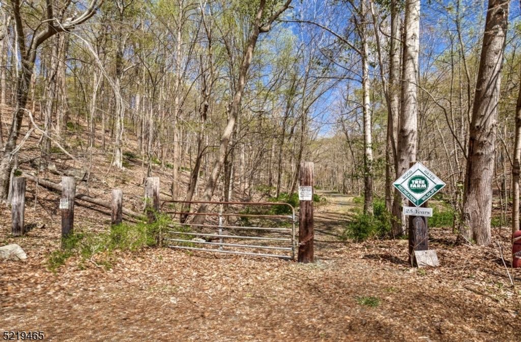 66 Rippling Brook Way, Bernardsville Boro, NJ 07924 — photo 2