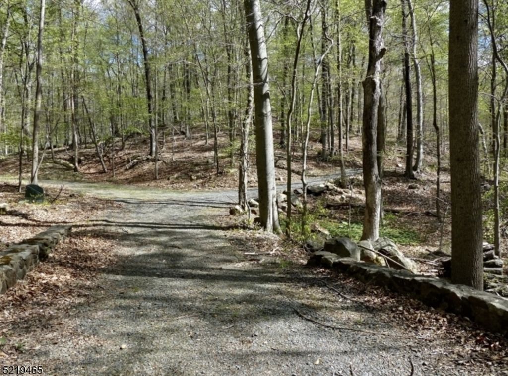66 Rippling Brook Way, Bernardsville Boro, NJ 07924 — photo 3