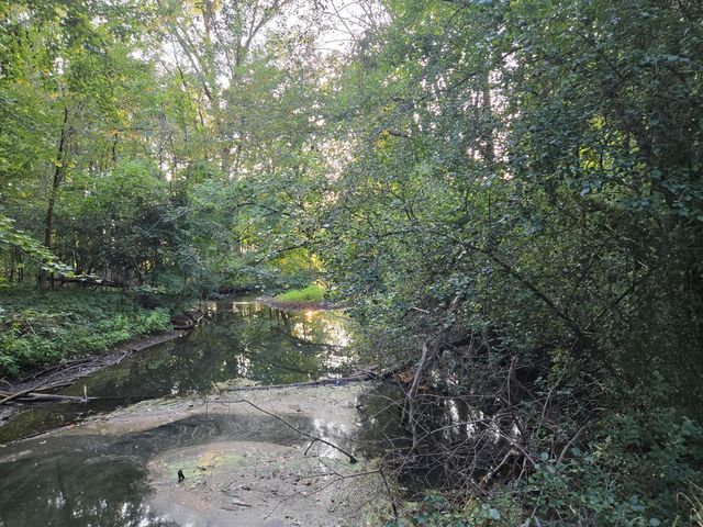 769 Kosmerick Road, Bronson, MI 49028