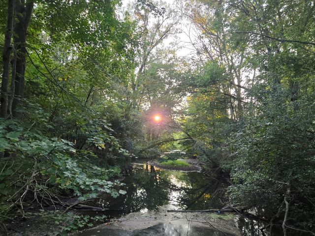 769 Kosmerick Road, Bronson, MI 49028