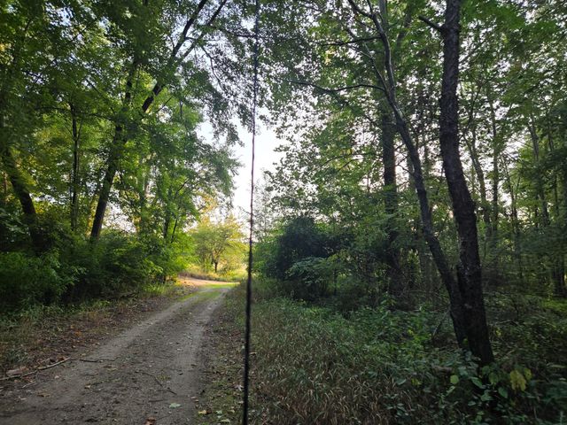 769 Kosmerick Road, Bronson, MI 49028