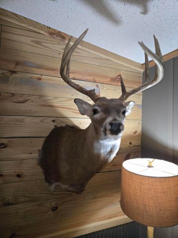 769 Kosmerick Road, Bronson, MI 49028