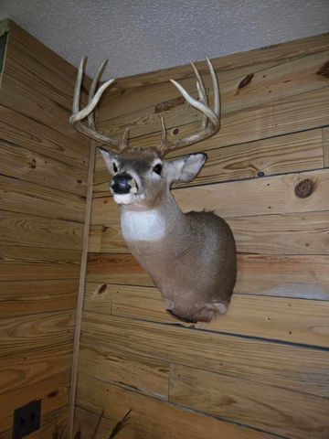 769 Kosmerick Road, Bronson, MI 49028