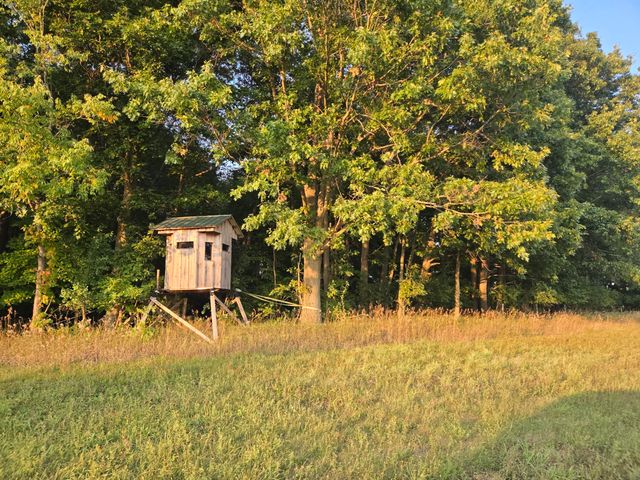 769 Kosmerick Road, Bronson, MI 49028