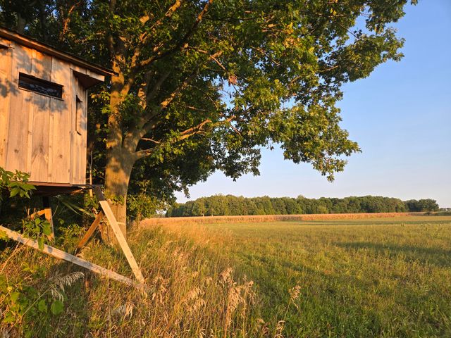 769 Kosmerick Road, Bronson, MI 49028