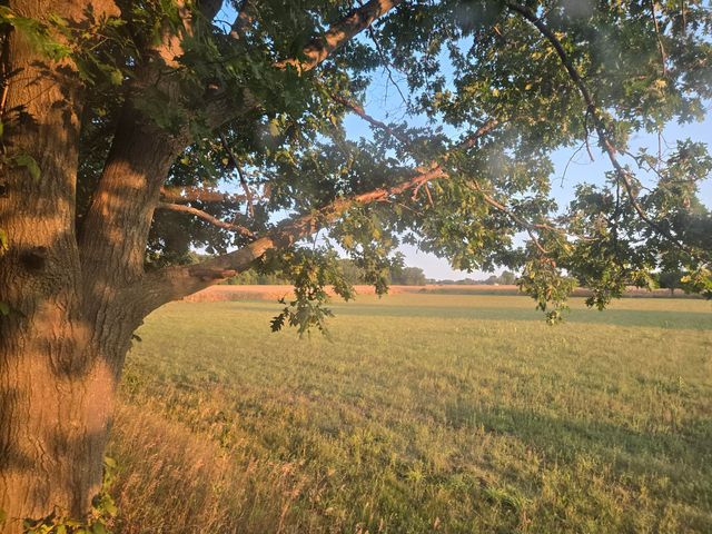 769 Kosmerick Road, Bronson, MI 49028