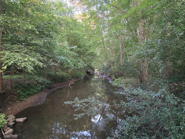 769 Kosmerick Road, Bronson, MI 49028