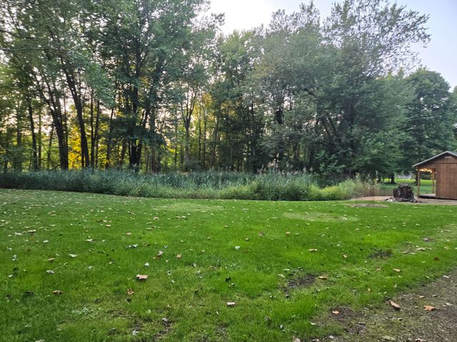 769 Kosmerick Road, Bronson, MI 49028