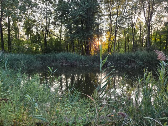 769 Kosmerick Road, Bronson, MI 49028