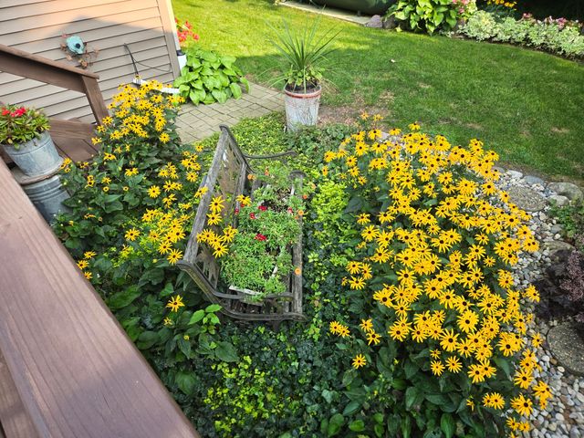 769 Kosmerick Road, Bronson, MI 49028