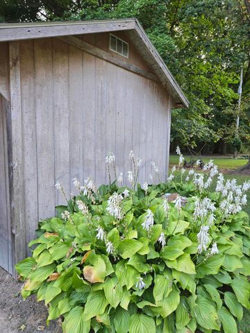 769 Kosmerick Road, Bronson, MI 49028