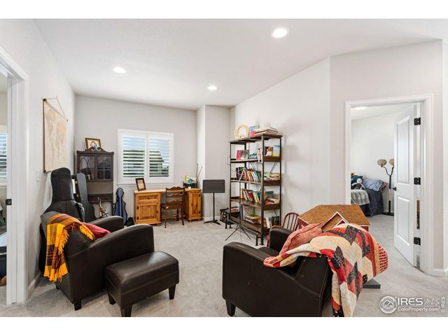 336 Bluestar Dr, Windsor, CO 80550