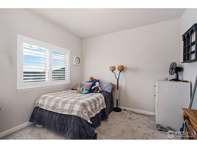 336 Bluestar Dr, Windsor, CO 80550