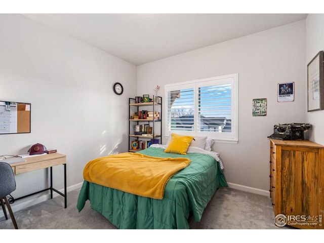 336 Bluestar Dr, Windsor, CO 80550