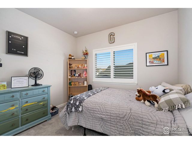 336 Bluestar Dr, Windsor, CO 80550