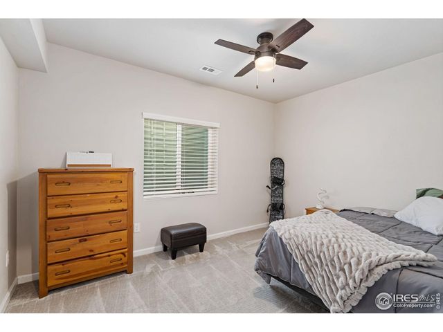 336 Bluestar Dr, Windsor, CO 80550