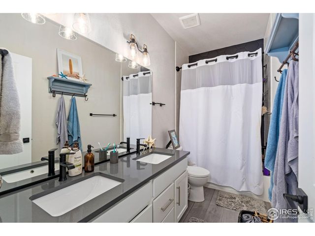 336 Bluestar Dr, Windsor, CO 80550