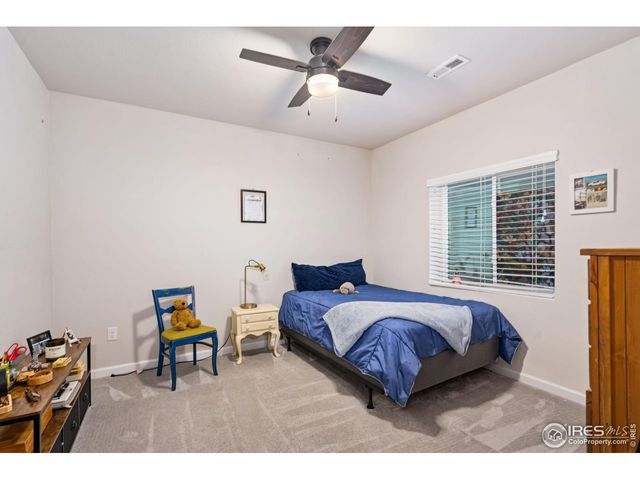 336 Bluestar Dr, Windsor, CO 80550